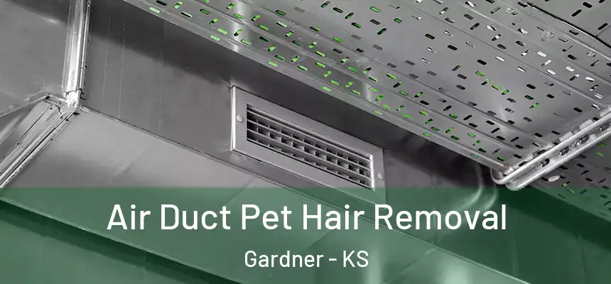  Air Duct Pet Hair Removal Gardner - KS