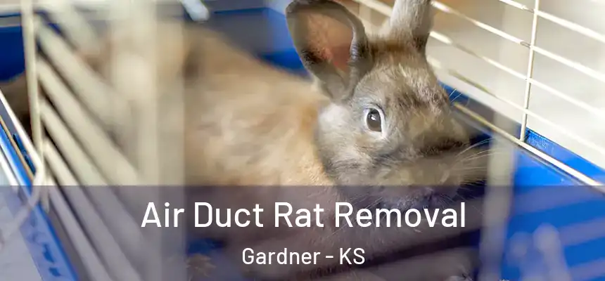 Air Duct Rat Removal Gardner - KS