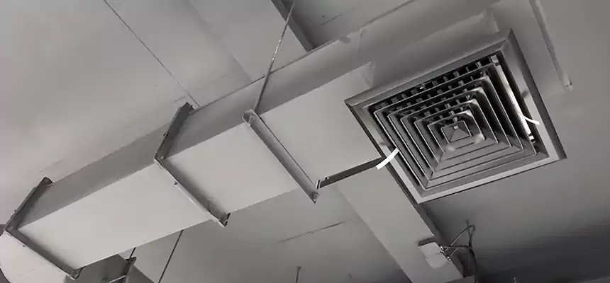 Our Pest Removal From Ducts Services in Gardner, KS