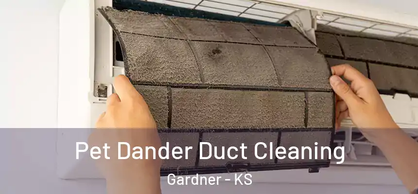 Pet Dander Duct Cleaning Gardner - KS