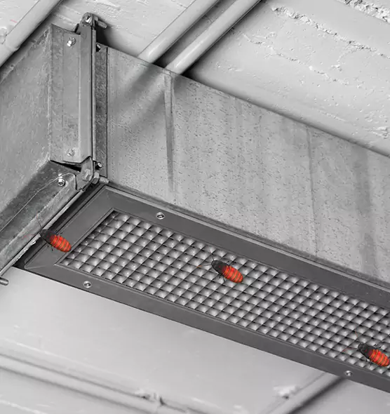 About Air Duct Cockroach Removal in Gardner, KS