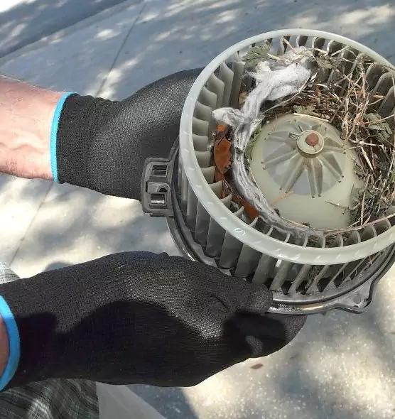 About Air Duct Mice Removal in Gardner, KS