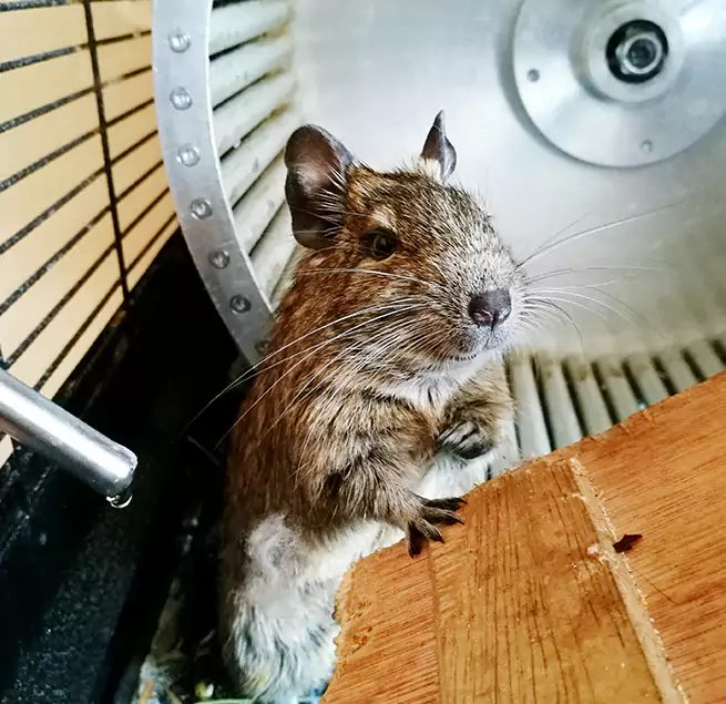 Why Homeowners & Businesses Trust Us Gardner, KS